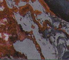 iron red cross cut 3184