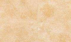 ivory medium 3729