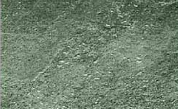 jeera green natural 4558