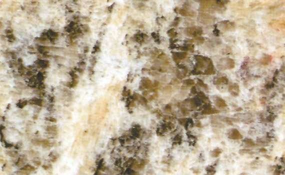 juparana champagne 1058