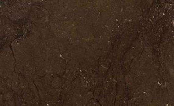 Kaeser Brown kaeser brown 6995