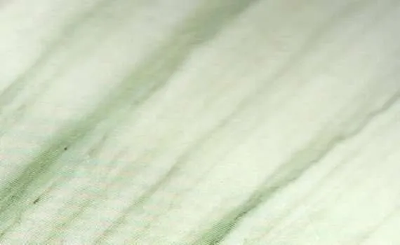 kiwi green 4824