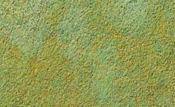 kota lime honey limestone 6509