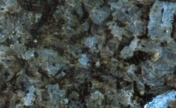 labrador marina pearl 2085