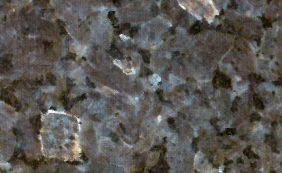 labrador silver pearl 2087