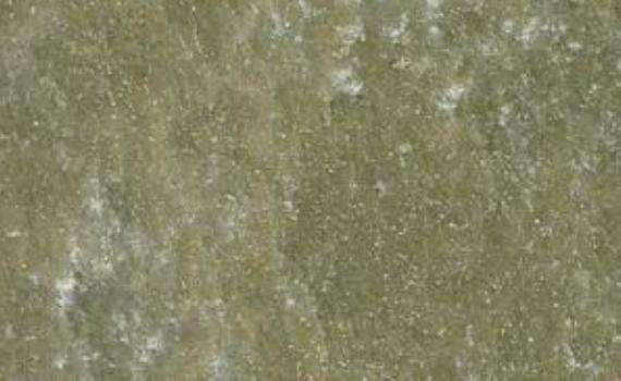 laguna green 7314