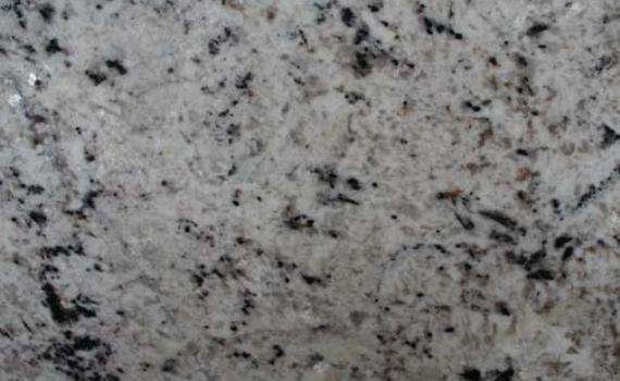 Latinium latinium 6558