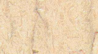 light cream 4219