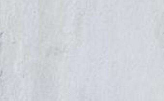 Lily White lily white 5954