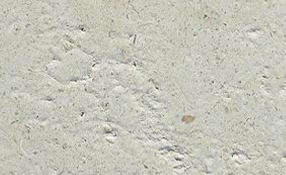 limestone crema 7248