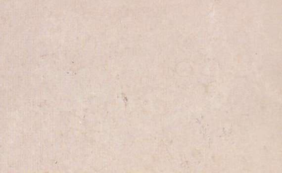 limo beige 2832