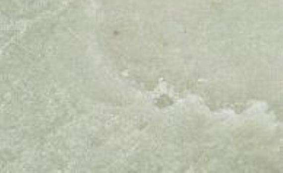lushan green 5652