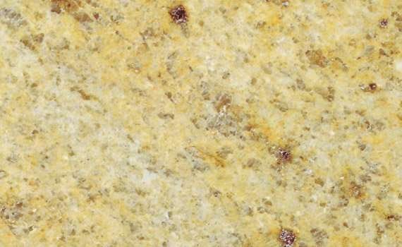 madura gold 111