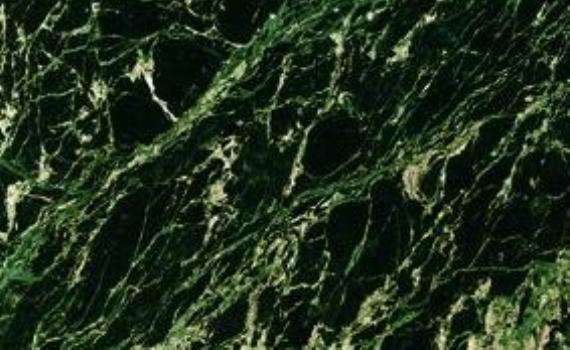maharani green marble 6502