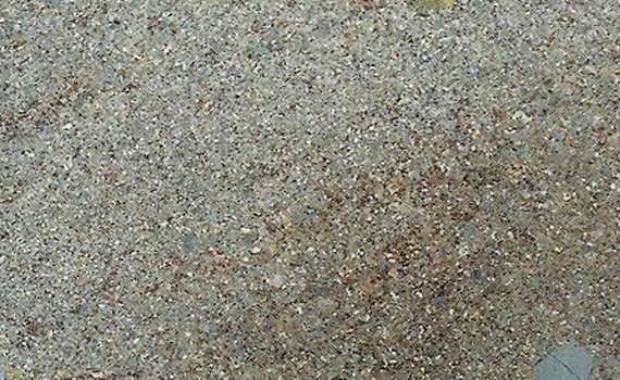 maremma 2659