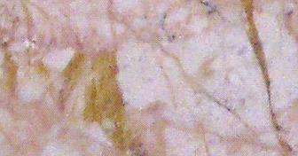 mars pink 4693