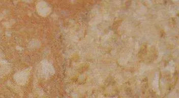 mars supreme 4694