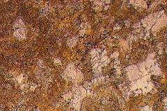 mascarello pp 3498
