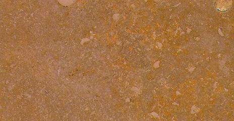 mesta gold brown 4451