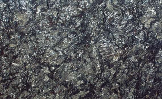 metallic brushed 229