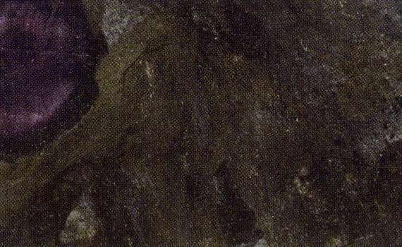 meteorus brushed 1705