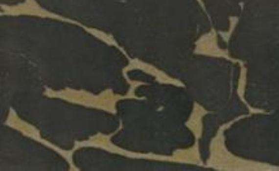mistery gold 6077