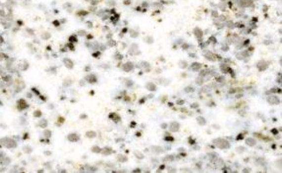 mistic white 7493