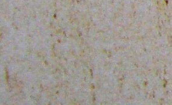 moca crema 6602