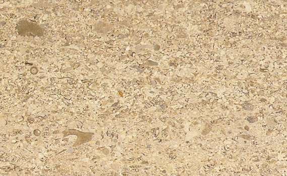 moca creme classico 2768