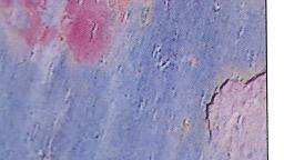 multicolor natural 4568