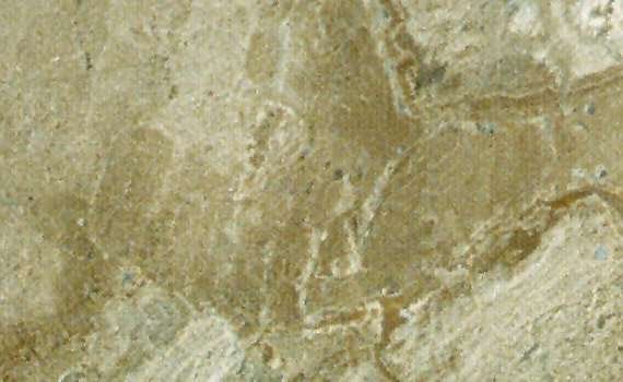 napoleon gran melange 1992