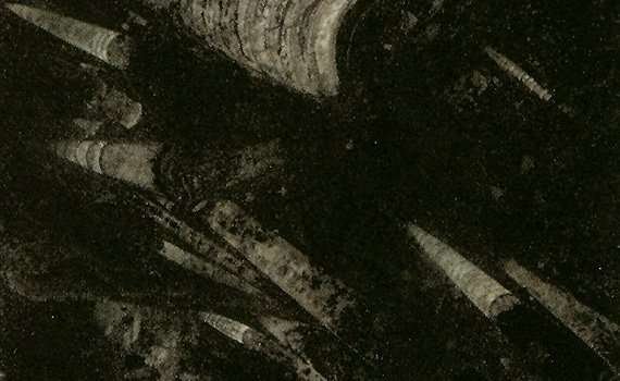 nero fossile 1043