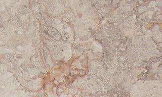 nevruz grey 4352