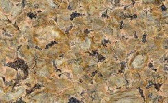 New Tropic Brown new tropic brown 7482