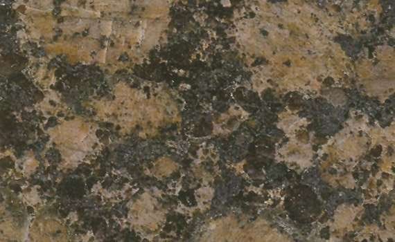 ngj019 baltic brown 896