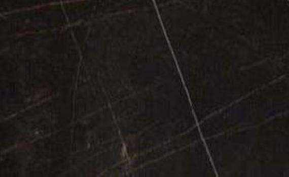 noir doree 7007