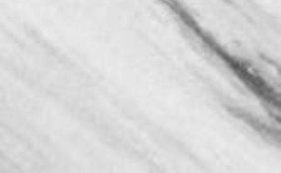 northern white 5871