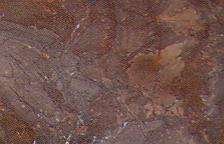 nougat 3366