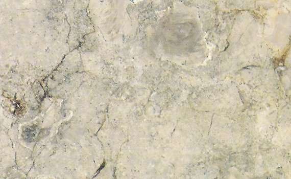 nova beige 2247