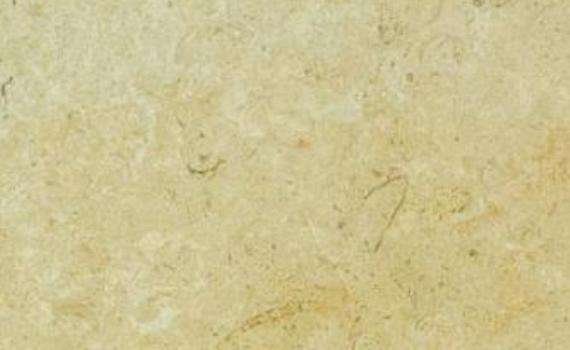 nubian yellow 6954