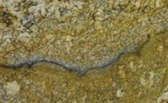 Nubiru Gold nubiru gold 6080