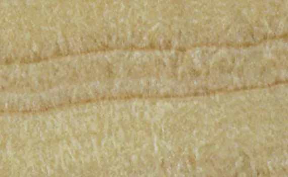 onyx iris light 1467