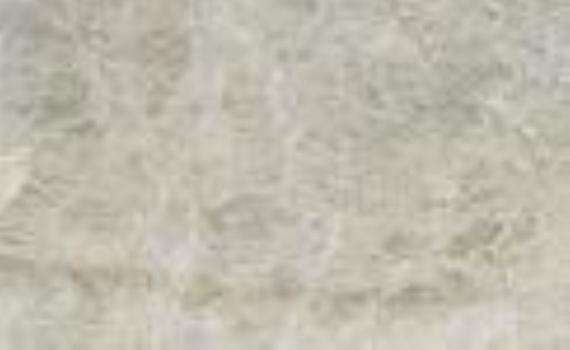 onyx pearl 5821