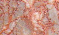 orange red 3752
