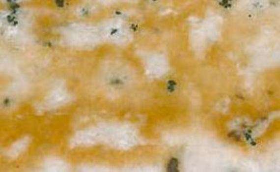 palustris gold 7426