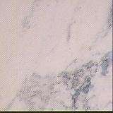 Parana Argento Marble parana argento 3089