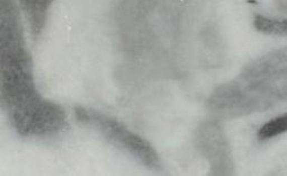 parnon nefeli 7574