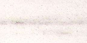pasha classic 3789