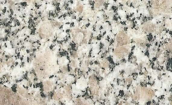 pearl grain 4867