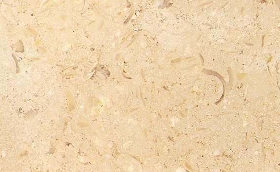 pearl of sinai 2545